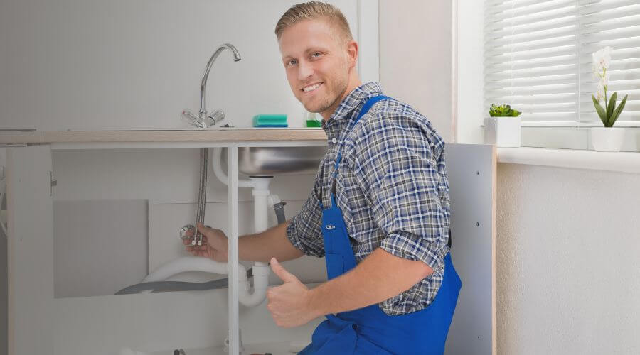 Holiday Plumbing Service in Luna Pier, MI